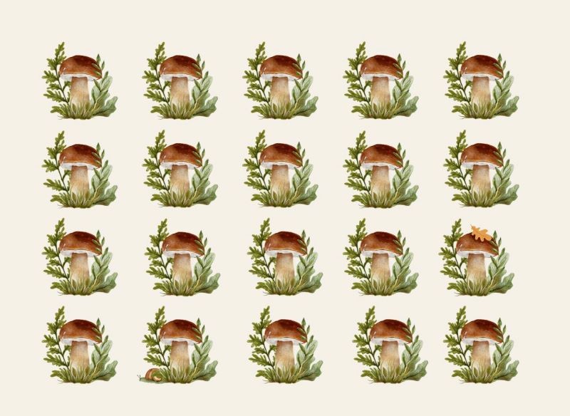 Znajdź 3 inne grzyby i rozwiąż zagadkę optyczną.