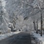 Leśne klimaty, ZIMOWA BAJKA  :)