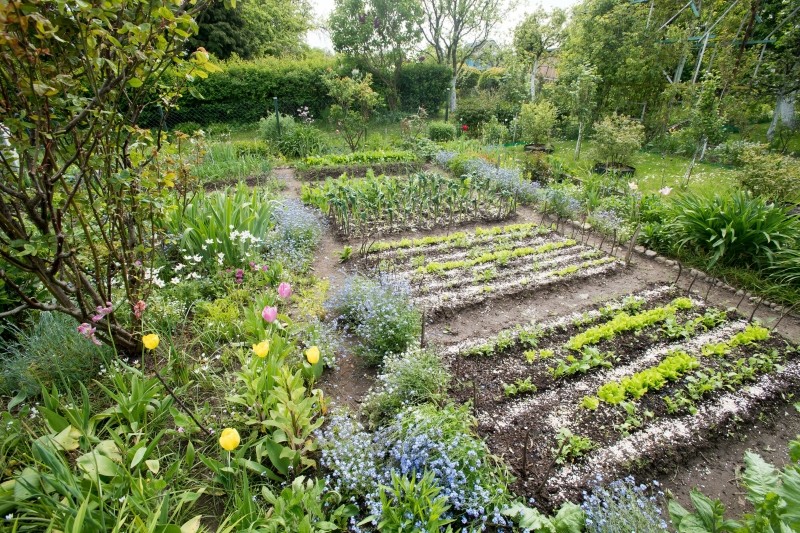 czy ogródek działkowy powinien być ubezpieczony