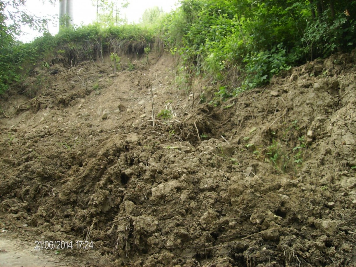 Pozostałe, CUDOWNA ROŚLINNOŚĆ NAD GRAJCARKIEM I DUNAJCEM W SZCZAWNICY - EFEKT WIOSENNEJ POWODZI