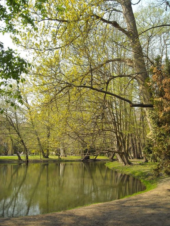 Pozostałe, Park Oliwski...........................