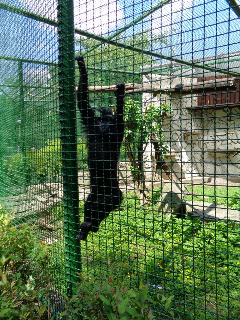 Pozostałe, AFRYKARIUM  ZOO Wrocław