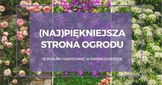 (NAJ)PIEKNIEJSZA STRONA OGRODU