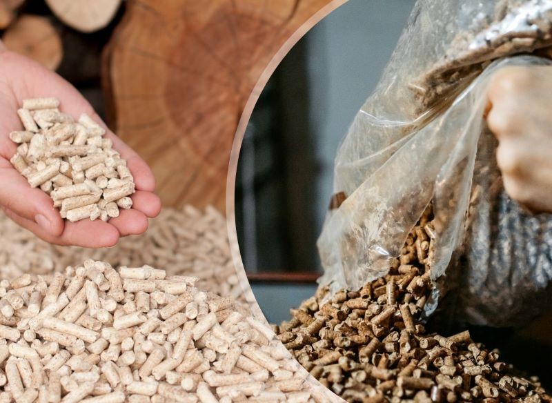 Na jaki pellet warto się zdecydować: drzewny czy ze słonecznika?