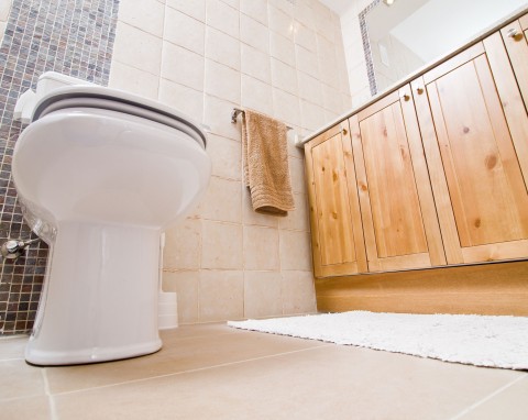 Skąd się biorą rybiki cukrowe w domu? Sprytna pułapka pomoże się ich pozbyć