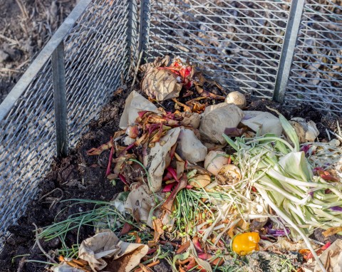 Zimowy kompost: utrzymanie ciepła i aktywności biologicznej pryzmy