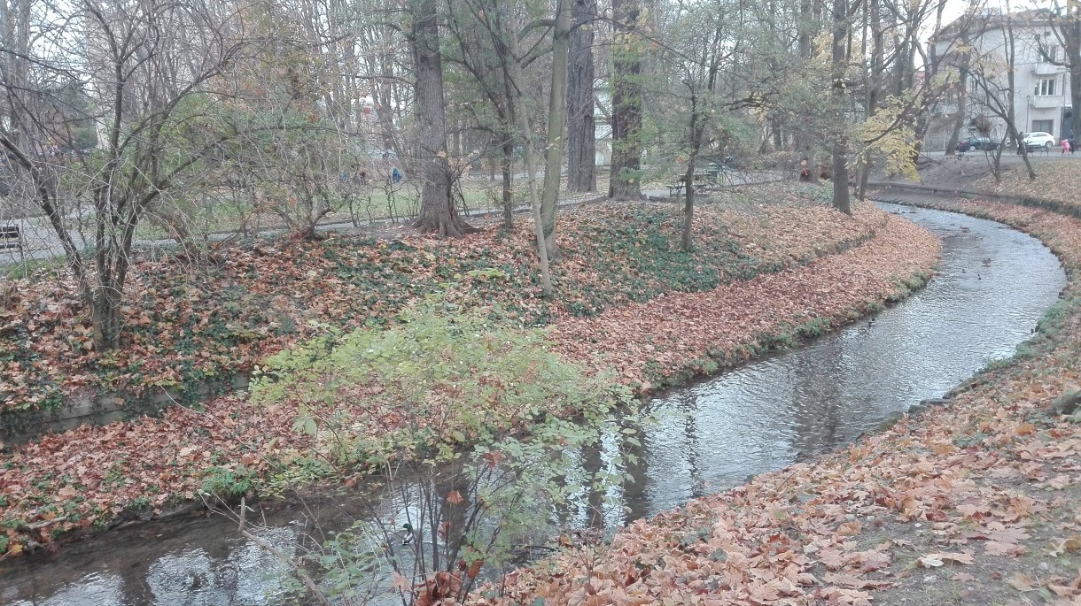 Podróże, Listopadowy park