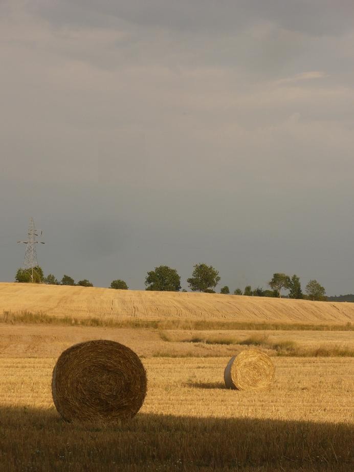 Dekoracje, Sierpniowe robótki...i...koniec sierpnia w moim obiektywie...... - ............wiejskie klimaty...............