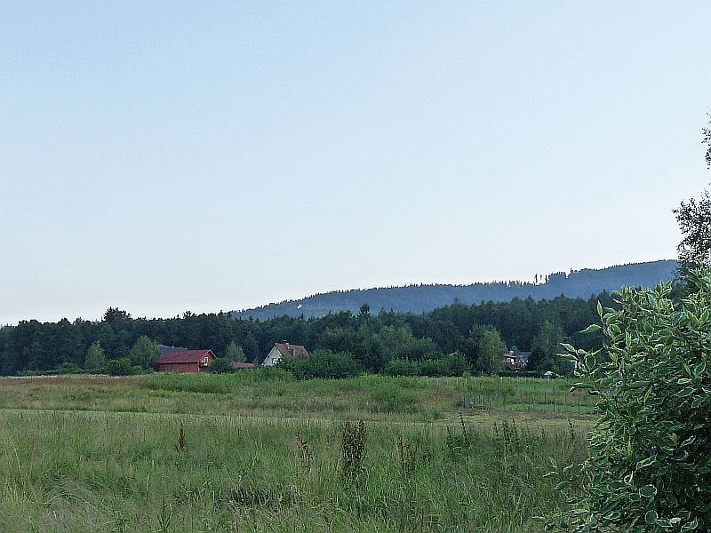 Rośliny, Pod Kopą Biskupią