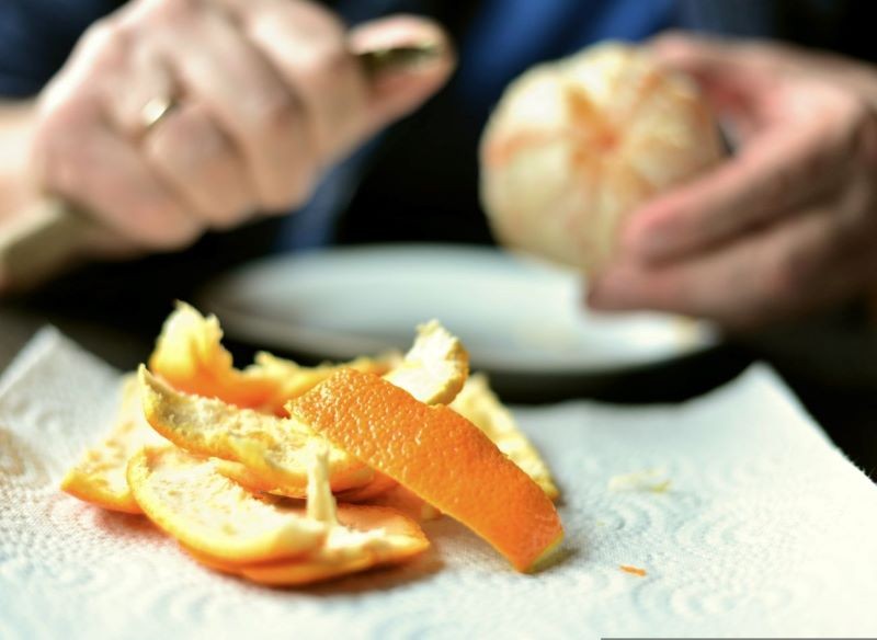 Skórki możemy zbierać przez całą zimę, wysuszyć i przechowywać do wiosny.