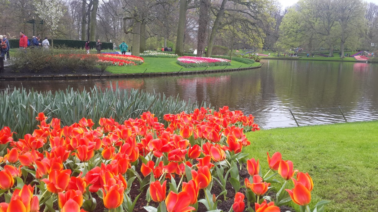 Pozostałe, Wizyta w Keukenhof