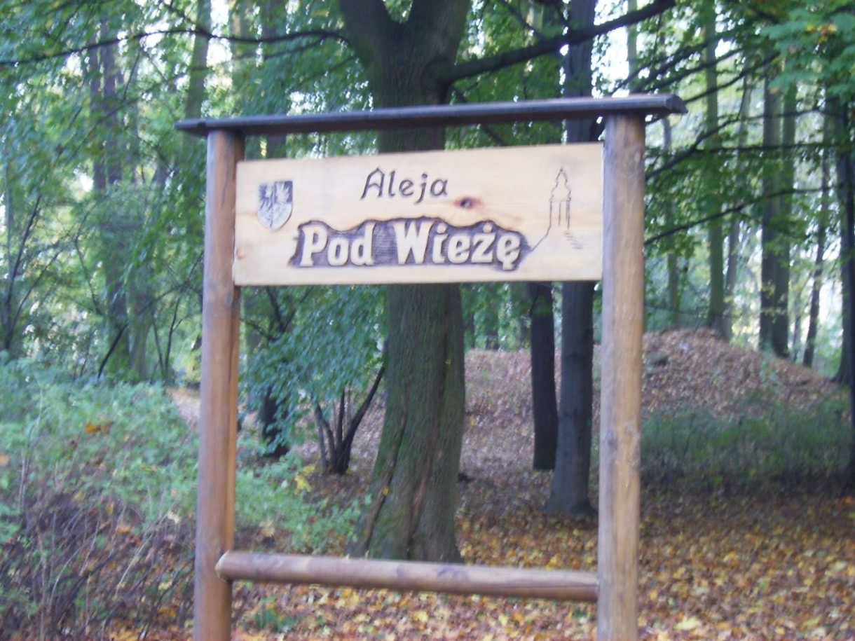 Pozostałe, ALEJAMI  PRZEZ  PARK  MIEJSKI