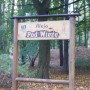 Pozostałe, ALEJAMI  PRZEZ  PARK  MIEJSKI