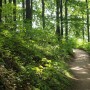 Pozostałe, skansen i ruiny zamku