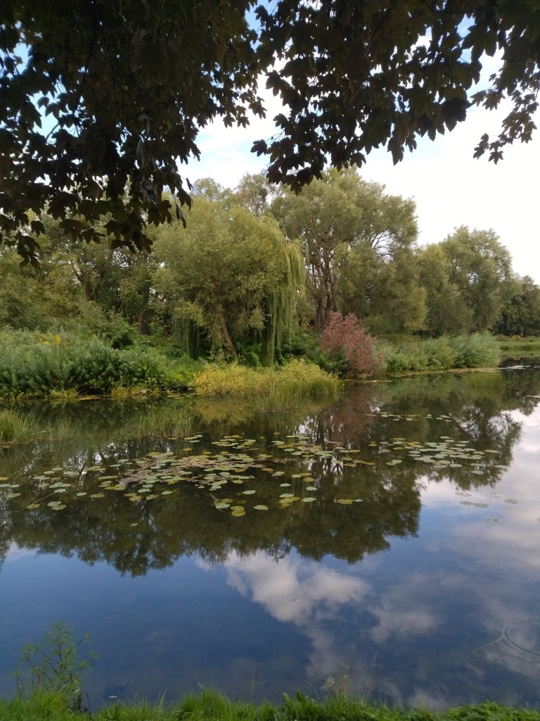 Rośliny, Już październik.................. - Czas  szybko mija ................nie zauważyłam kiedy lato minęło ...............kiedy wakacje się skończyły .............nadeszła jesień..............kolorowa................mglista..............tajemnicza.............prawie nierzeczywista...............