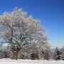 Pozostałe, zimowe klimaty - .