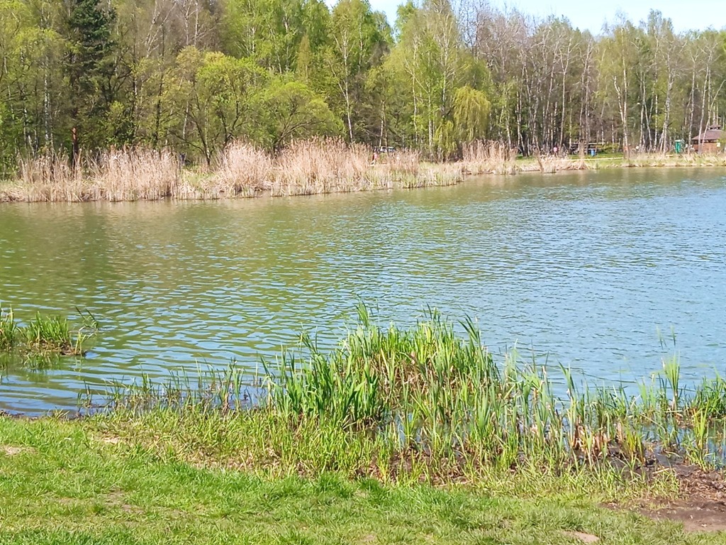 Podróże, NAD BRZEGIEM JEZIORA