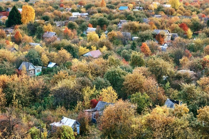 ogródki