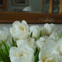Pozostałe, Wiosennie............ - ..........i tulipany.................pachną w całym domu..............