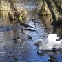 Leśne klimaty, Rezerwat Niebieskie Źródła