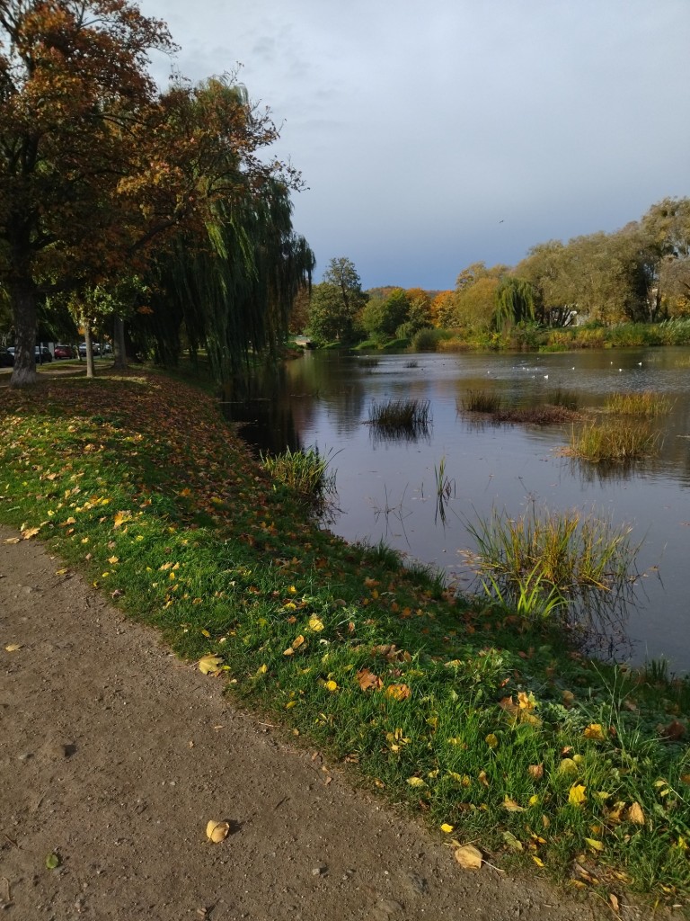 Rośliny, Zaraz listopad.......................... - Jesień nad morzem jest piękna ................................................