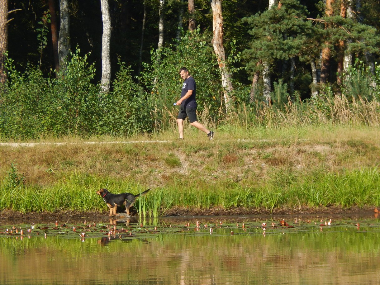 Leśne klimaty, KAWA W LESIE  :)