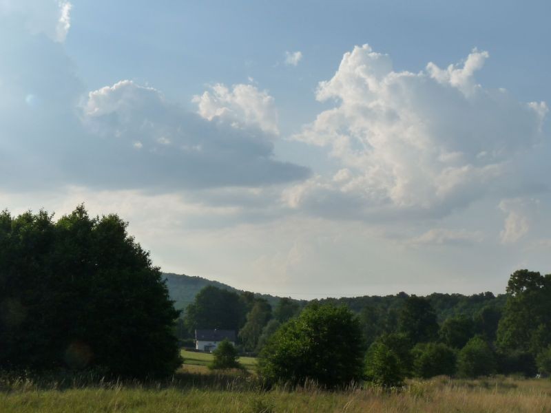 Rośliny, Pod Kopą Biskupią