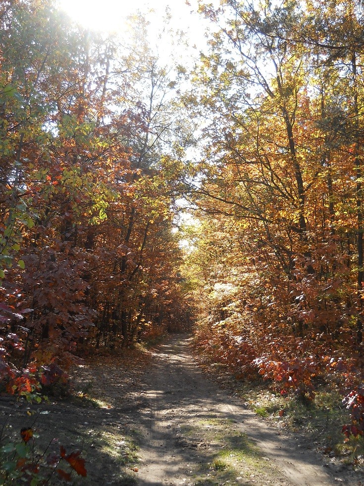 Pozostałe, Jesień.