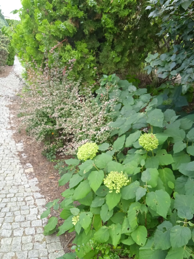 Ogród, WRZESIEŃ  w OGRODZIE ŚLĄSKIM