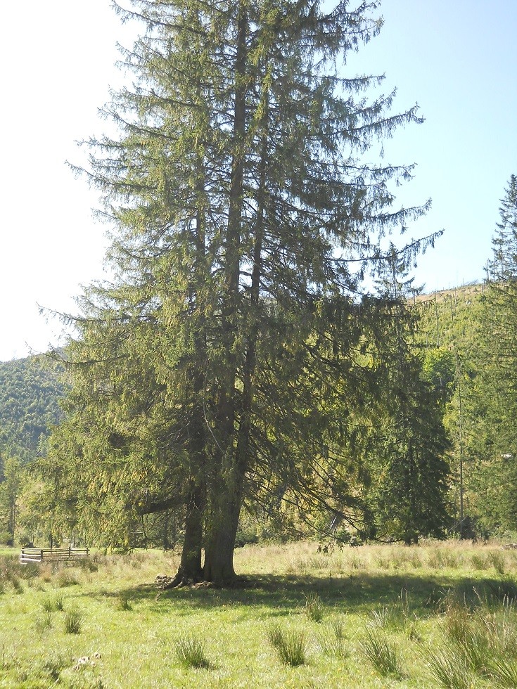 Pozostałe, Zakopane w foto - pigułce. Część piąta: Dolina Kościeliska. - ...te bliższe i dalsze..