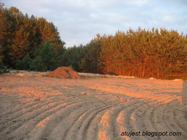 Leśne klimaty, Jak zmieniał się nasz ogród - Jeszcze jest pole.