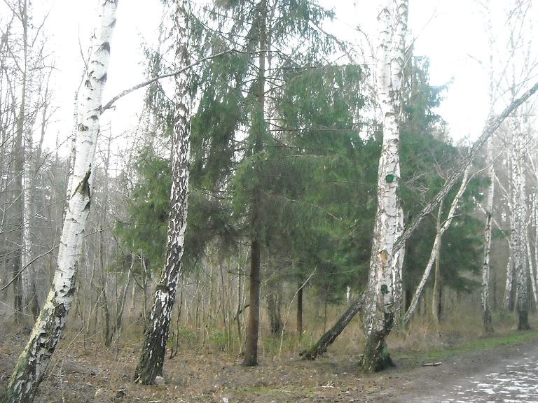 Pozostałe, Zapraszam na  spacer .......z Noworocznymi Życzeniami........