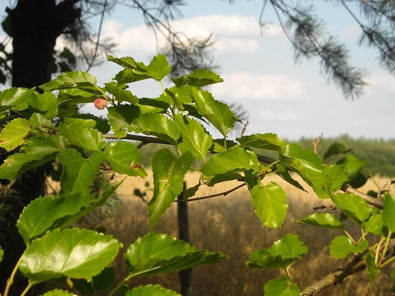 Pozostałe, Wiejskie klimaty czyli weekend na wsi...........