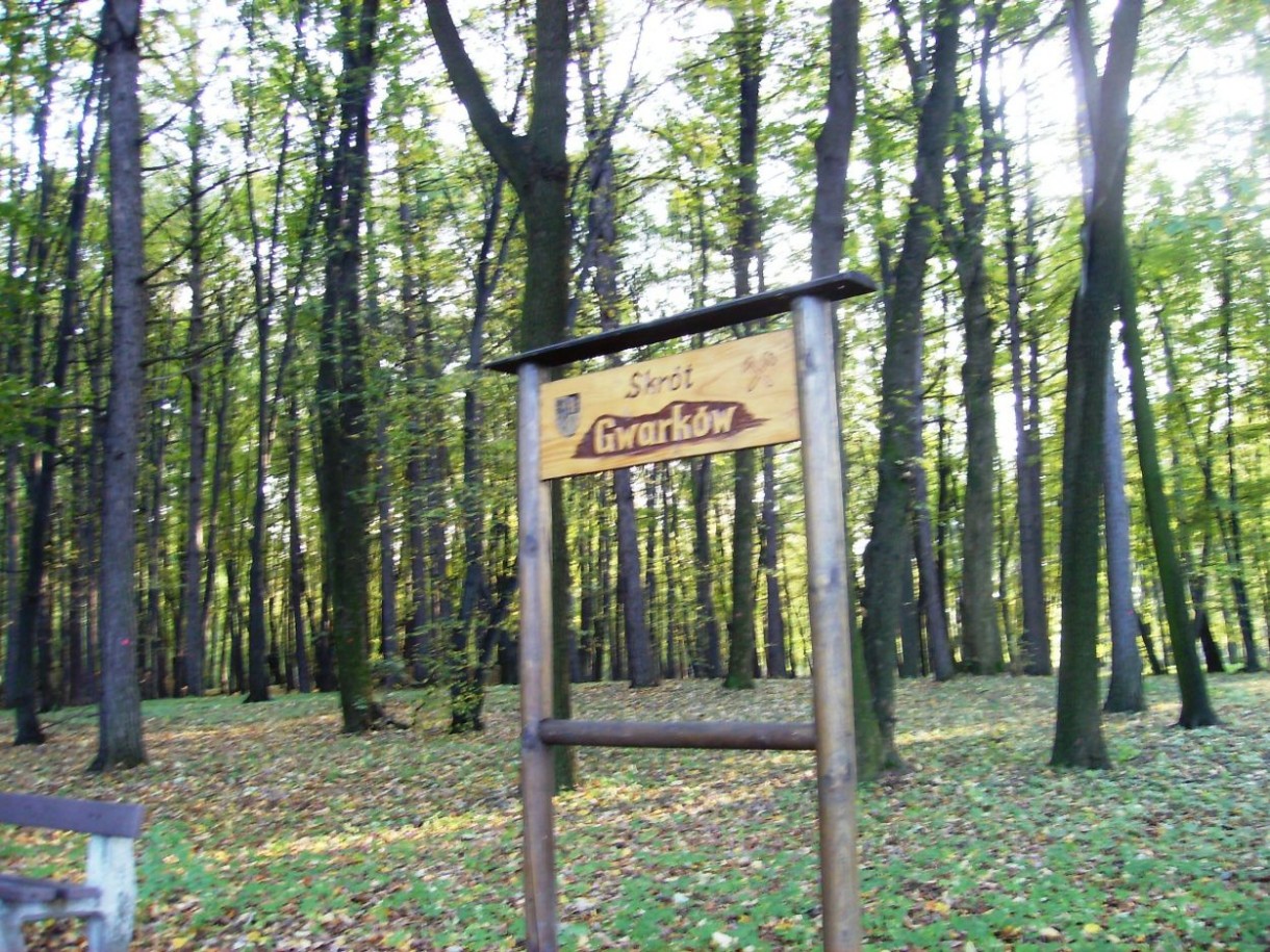 Pozostałe, ALEJAMI  PRZEZ  PARK  MIEJSKI