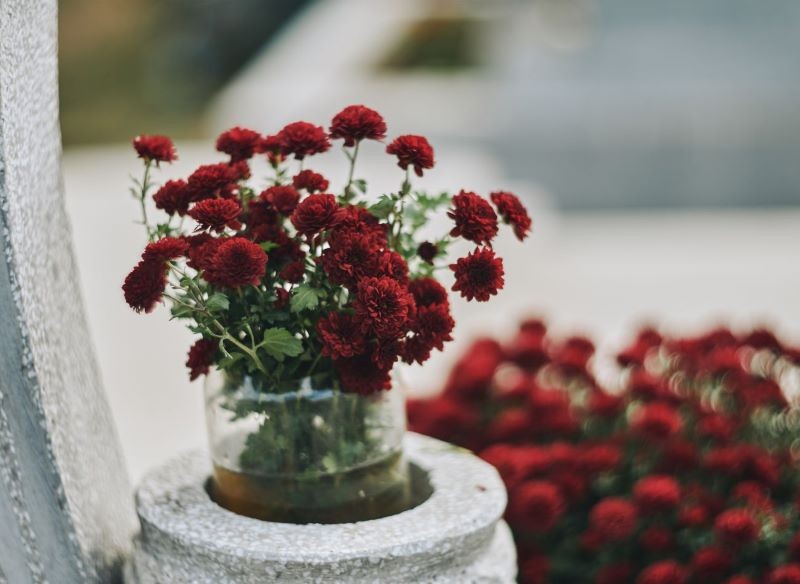 Najpopularniejszymi kwiatami w cmentarnych wazonach są cięte chryzantemy.