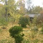 Ogród, Jesień w moim ogrodzie /tarasie.