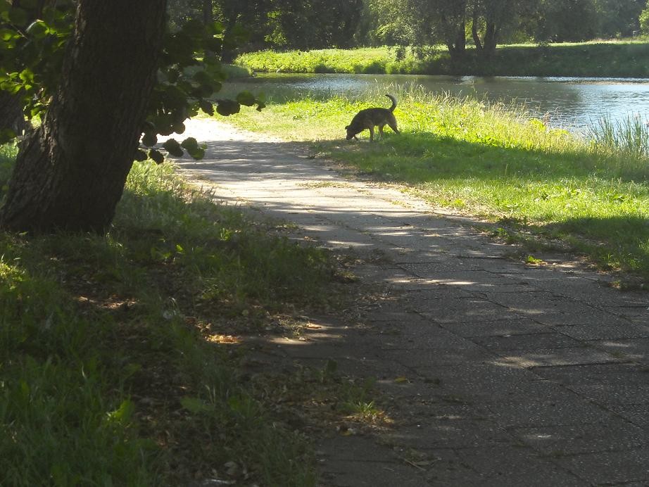 Pozostałe, Wakacyjna galeria znad morza ............z robótkami ........... - ..........i spacer..........