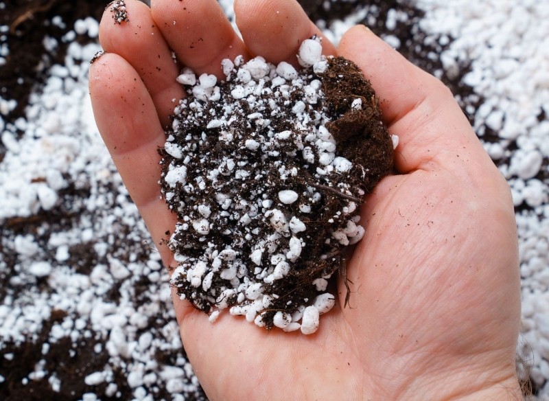 perlit do roślin doniczkowych