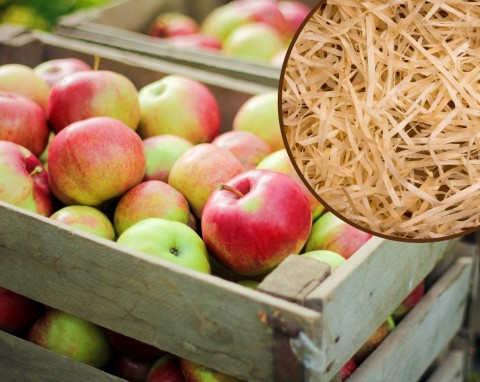 Przechowywanie jabłek na zimę. Co zrobić, żeby jak najdłużej były twarde i nie gniły?