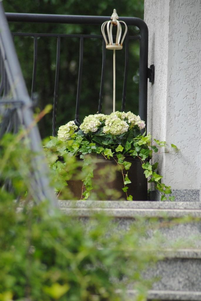 Taras, Dary lata :) - Lawendę z donic na ganku wysadziłam do ogrodu ....a posadziłam hortensje z Lidlowej wyprzedaży i niezawodne bluszcze :)