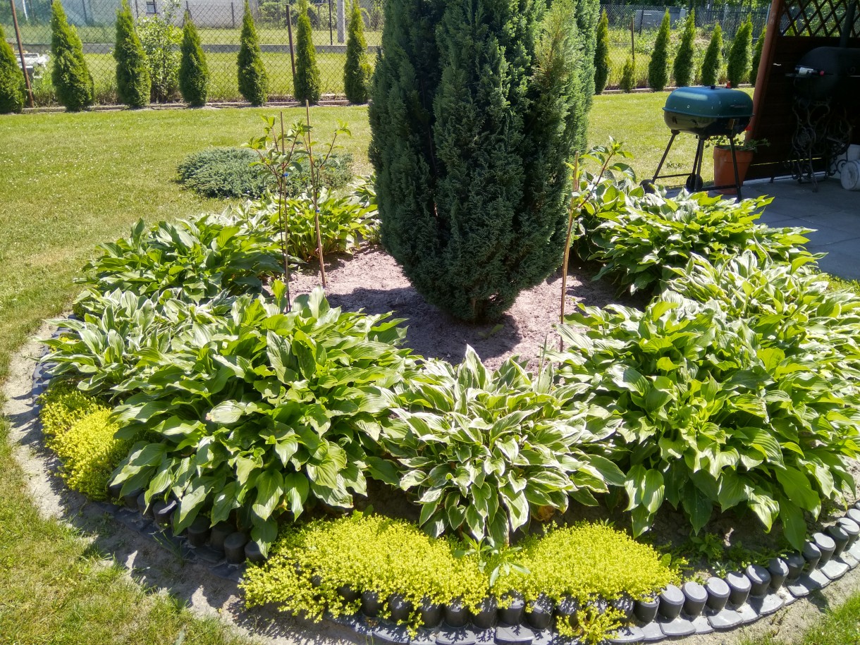 Ogród, Ogród