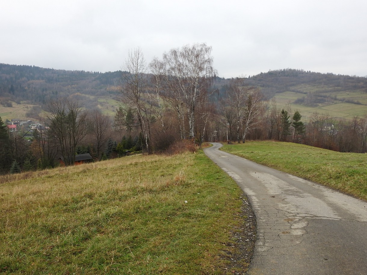 Leśne klimaty, GRUDNIOWY CZAS