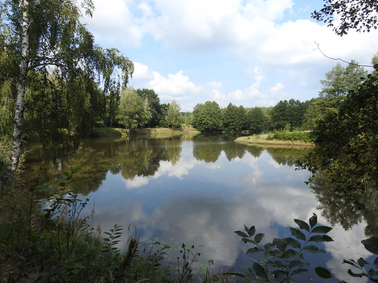 Leśne klimaty, ZWYKŁE I NIEZWYKŁE