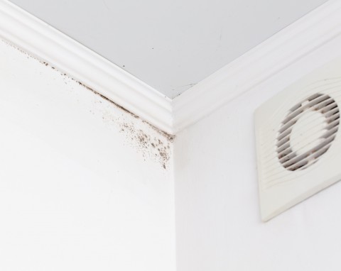 Dlaczego za meblami tworzy się wilgoć i pleśń? Mało osób bierze pod uwagę ważną przyczynę