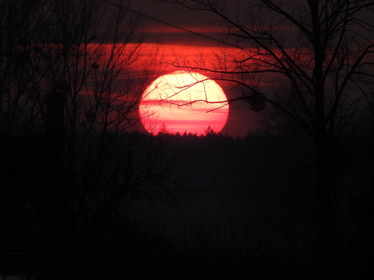 Leśne klimaty, WIOSNY CZAS...