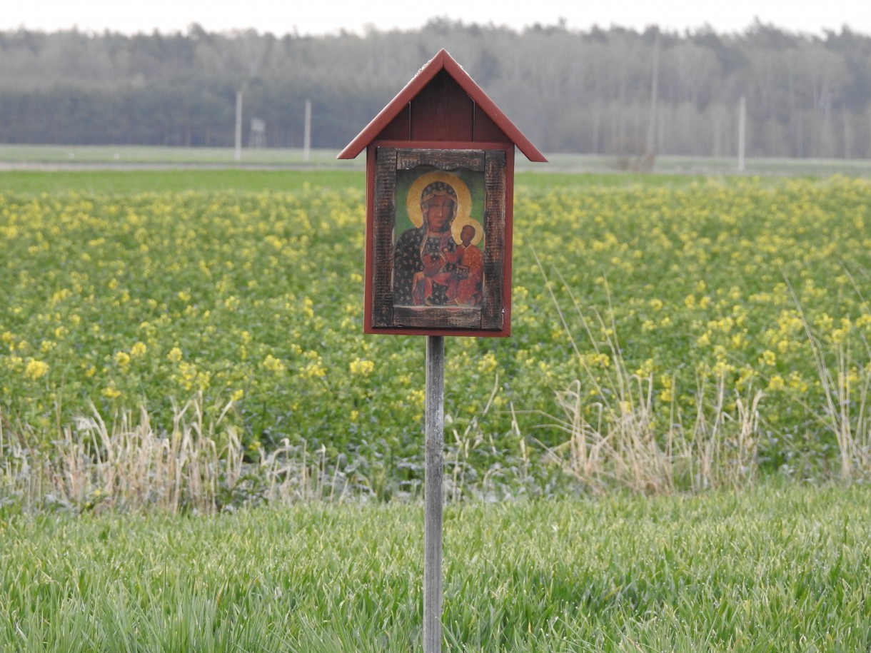 Leśne klimaty, " DZIKIE SERCE  "