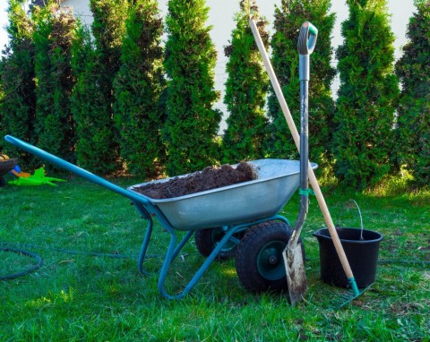 Jesienna pielęgnacja trawnika. Jak przygotować trawnik na zimę?