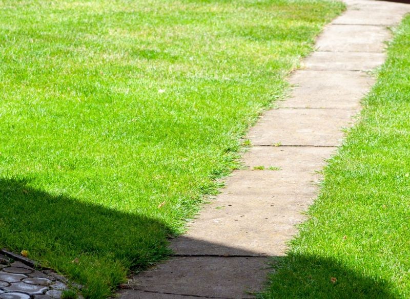 Zadbany trawnik rzadziej choruje.