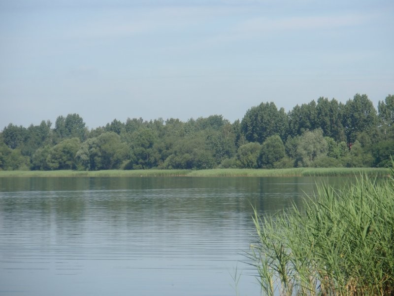 Pozostałe, W parku i nad wodą.