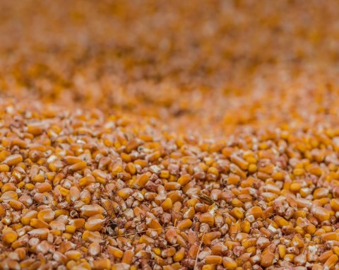 Kosztuje o połowę mniej od pelletu, a jest równie kaloryczne. To nowy hit w ogrzewaniu domu